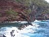 IMG_4309.JPG