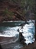 IMG_4338.JPG