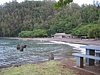 IMG_4339.JPG