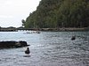 IMG_4341.JPG