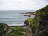 IMG_4347.JPG