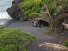 IMG_4357.JPG