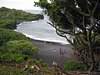 IMG_4368.JPG