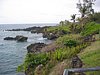 IMG_4376.JPG