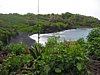 IMG_4378.JPG