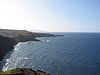 IMG_4442.JPG