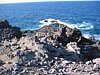 IMG_4446.JPG