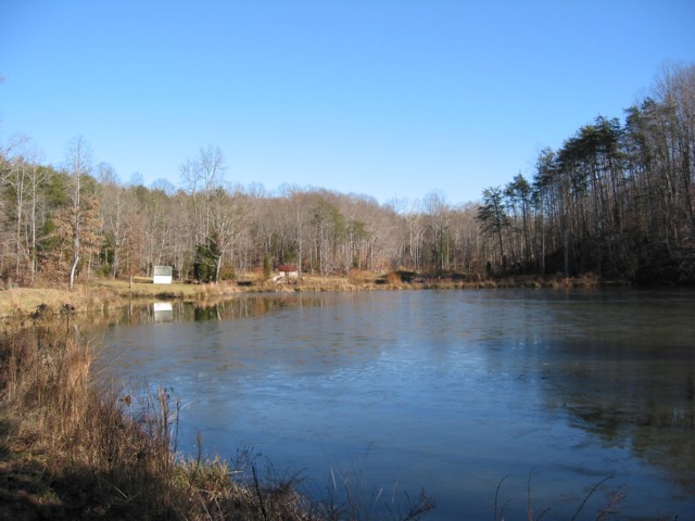 IMG_1686.JPG