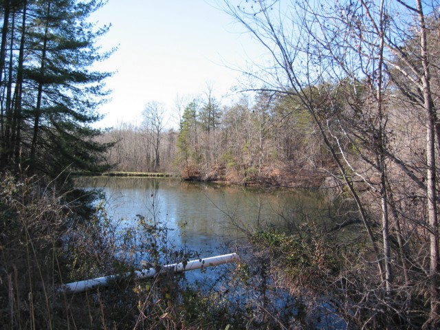 IMG_1687.JPG