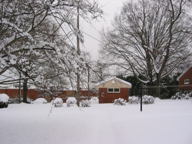 IMG_1951.JPG