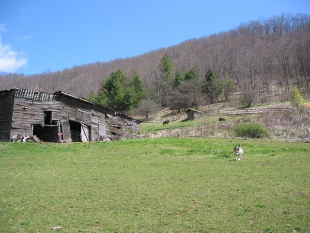 IMG_2124.JPG