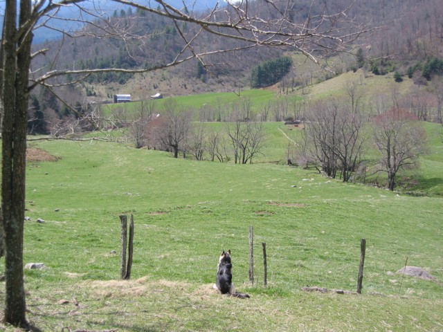 IMG_2129.JPG