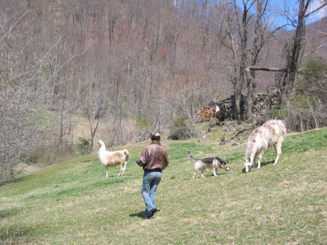 IMG_2133.JPG