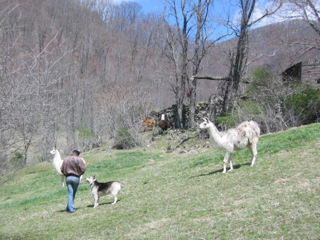IMG_2134.JPG