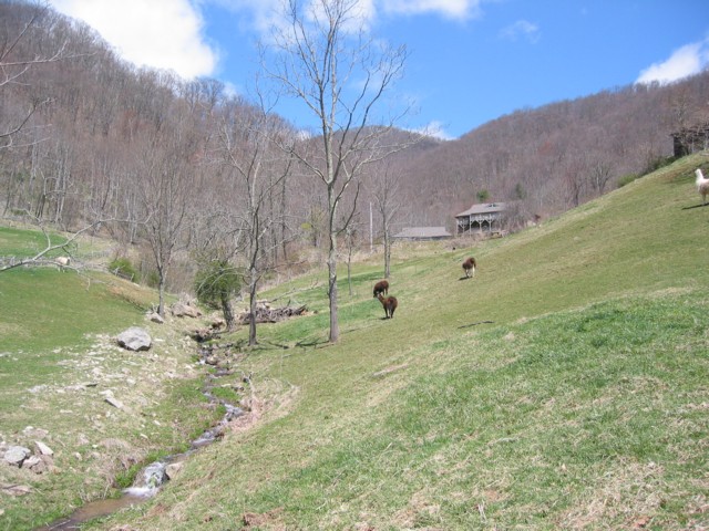 IMG_2140.JPG