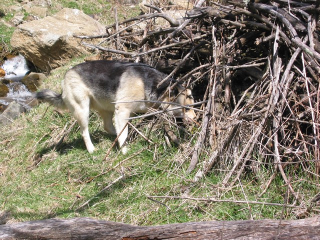 IMG_2148.JPG