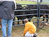 IMG_0640.JPG