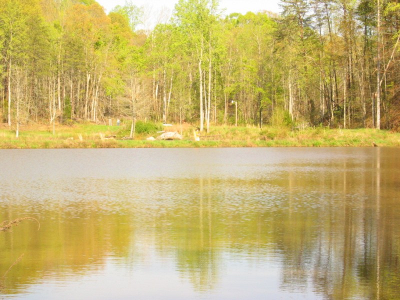 100_0088.jpg
