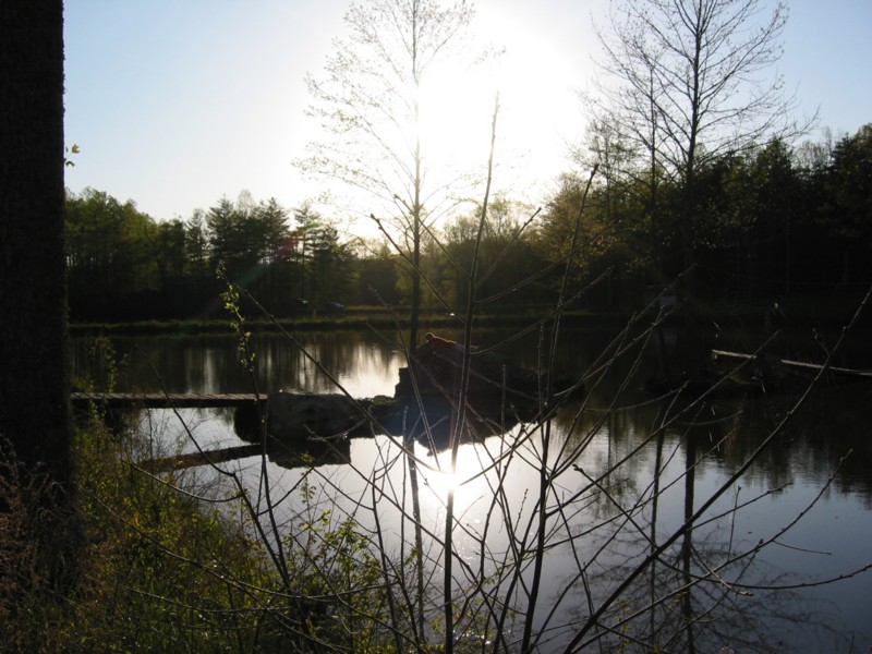 100_0091.jpg