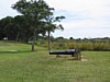 IMG_0225.JPG