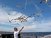 IMG_0237.JPG