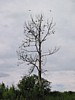 IMG_0259.JPG