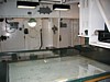 IMG_0493.JPG