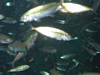 IMG_0576.JPG