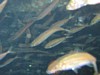IMG_0577.JPG