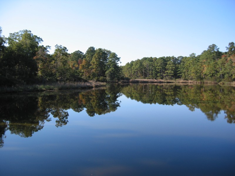 IMG_0674.JPG