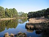 IMG_0675.JPG