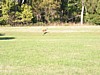 IMG_0676.JPG