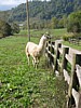 IMG_0542.JPG