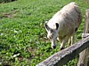 IMG_0543.JPG