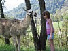 IMG_0548.JPG
