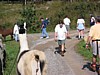 IMG_0565.JPG