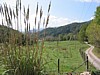 IMG_0572.JPG