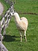 IMG_0573.JPG