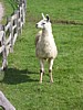 IMG_0575.JPG