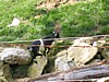 IMG_0579.JPG