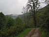 IMG_0590.JPG