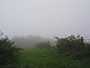 IMG_0592.JPG