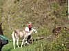 IMG_0597.JPG