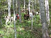 IMG_0601.JPG
