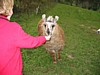IMG_0614.JPG